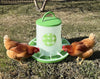 Chicken Feeder 13 lbs - Green (Z-FGS)
