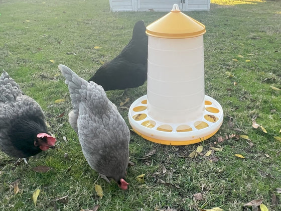 Zylina Bio Chicken Feeder 35 lbs (G-11247)