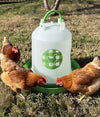 Chicken Waterer 1.5 Gallons - Green (Z-WGS)