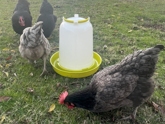 Zylina Bio Chicken Waterer 2.5 Gallon (G-11092)