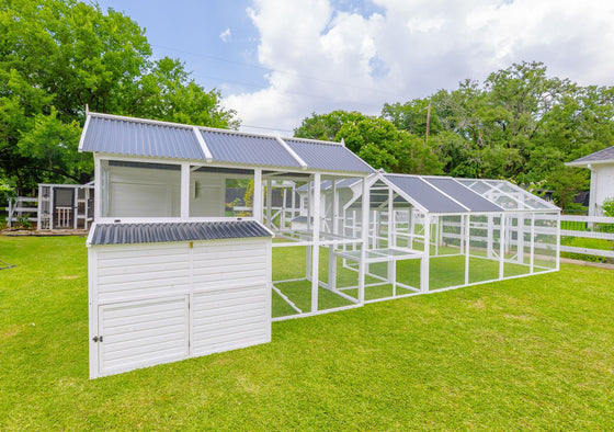 Modern Countryside Chicken Coop & Modern Universal Poultry Pen Combo Offer