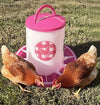 Chicken Feeder 13 lbs - Fuchsia (Z-FFS)