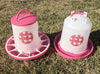 Zylina Chicken Waterer 1.5 Gallon and Feeder 13 lbs Combo in Fuchsia (Z-PFScombo)