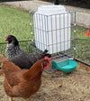 Hydration Station Chicken Waterer 6.5 Gallon