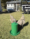 Zylina Powder Coated Metal Waterer 1 Gallon - Green (Z-WMGS)