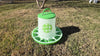 Chicken Feeder 13 lbs - Green (Z-FGS)