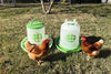 Zylina Chicken Waterer 1.5 Gallon and Feeder 13 lbs Combo in Green (Z-PGScombo)