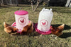 Zylina Chicken Waterer 3.7 Gallon and Feeder 26 lbs Combo in Fuchsia (Z-PFLcombo)