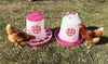 Zylina Chicken Waterer 1.5 Gallon and Feeder 13 lbs Combo in Fuchsia (Z-PFScombo)