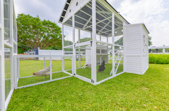 Modern Countryside Chicken Coop & Modern Universal Poultry Pen Combo Offer