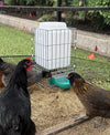 Hydration Station Chicken Waterer 6.5 Gallon