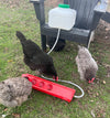 Zylina Automatic Waterer Kit for Chickens (G-11660)