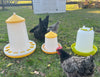 Zylina Bio Chicken Feeder 8 lbs (G-11244)