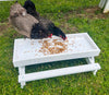 BOOST!  Probiotic Mealworm Additive for Chickens (Z-Prob30)