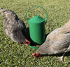 Zylina Powder Coated Green Metal Waterer 1 G / Feeder 9 lbs / Scoop Combo Kit (Z-MGScombo)o