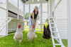 Modern Countryside Chicken Coop & Modern Universal Poultry Pen Combo Offer