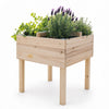 Raised Garden Planter with 4 Way Divider (DDP-1839)