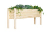 Raised Garden Planter Collection- 60"(L) x 12"(W) x 22"(H) (DDP-2168XXL)