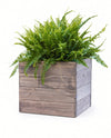 Indoor/Outdoor Trough Planter- Tall (DDP-2177)