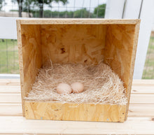  Best Rest Single Nesting Box (DDP-2292S)