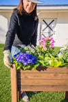 Raised Garden Planter Rustic Stain- 34.25”(L) x 18.50”(W) x 30.7”(H) (DDP-1841)