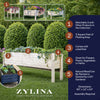 Raised Garden Planter Collection- 60"(L) x 12"(W) x 22"(H) (DDP-2168XXL)