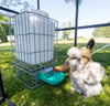 Hydration Station Chicken Waterer 6.5 Gallon (Z-25LWater)