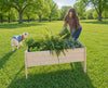 Raised Garden Planter Collection- 47.5"(L) x 36"(W) x 22"(H) (DDP-2168XL)