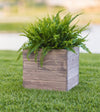 Indoor/Outdoor Trough Planter- Medium (DDP-2178)