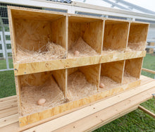  Best Rest 8 Bay Nesting Box (DDP-2327)