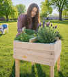 Raised Garden Planter with 4 Way Divider (DDP-1839)
