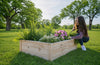 Raised Garden Bed (DDP-1843)