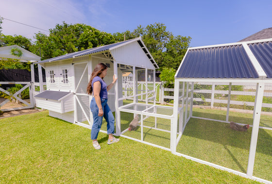 Modern Chicken Barn & Modern Universal Poultry Pen Combo Offer