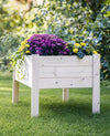 Raised Garden Planter Collection- 38"(L) x 24"(W) x 22"(H) (DDP-2168L)