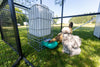 Hydration Station Chicken Waterer 6.5 Gallon (Z-25LWater)