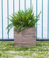 Indoor/Outdoor Trough Planter- Tall (DDP-2177)