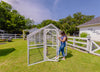 Modern Chicken Barn & Modern Universal Poultry Pen Combo Offer
