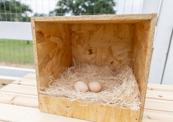 Best Rest Single Nesting Box (DDP-2292S)