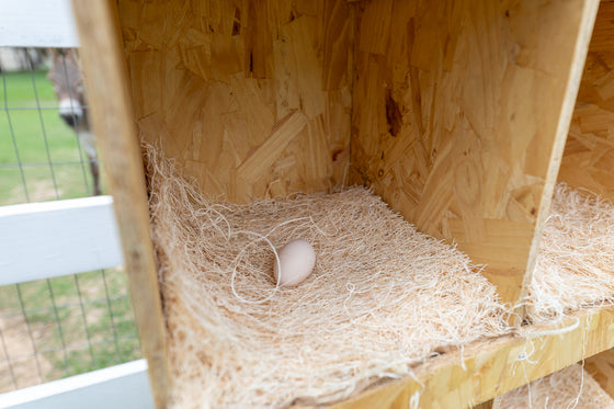 Best Rest Triple Nesting Box (DDP-2292L)