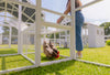 Modern Chicken Barn & Modern Universal Poultry Pen Combo Offer
