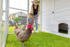 Modern Chicken Barn & Modern Universal Poultry Pen Combo Offer