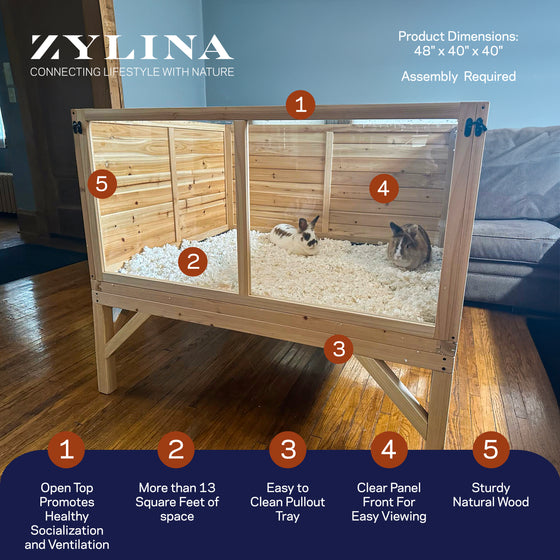 Raised Guinea Pig & Rabbit House (DDP-2332C)