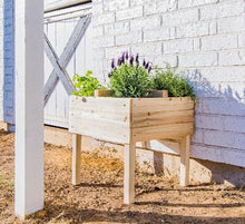  Raised Garden Planter with 4 Way Divider (DDP-1839)