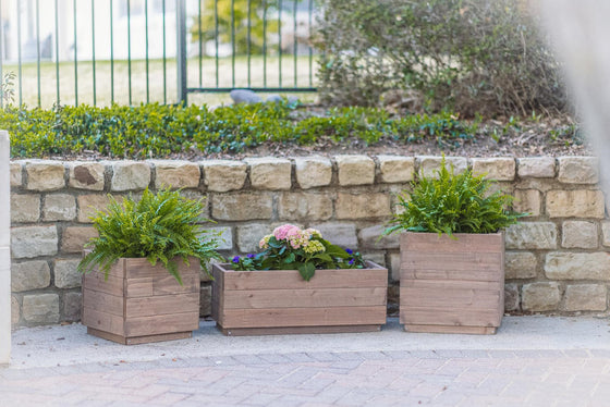 plant trough indoor Zylina Indoor/Outdoor Trough Planter, Tall