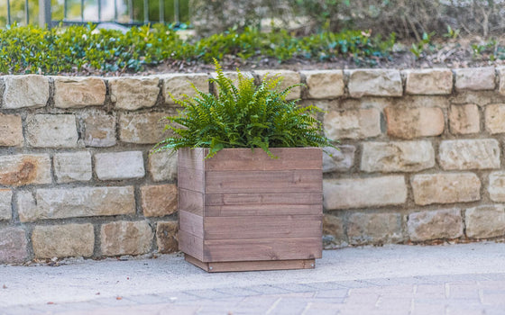 indoor trough planter Zylina Indoor/Outdoor Trough Planter, Medium