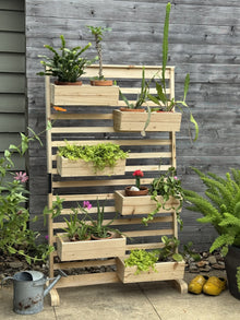  Living Wall Planter Rack (DDP-1842)