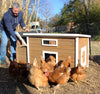 Nesting & Roosting Box with Outer Egg Box (DDP-1924)