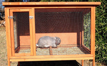  Rabbit Hutch (DDP-1522)