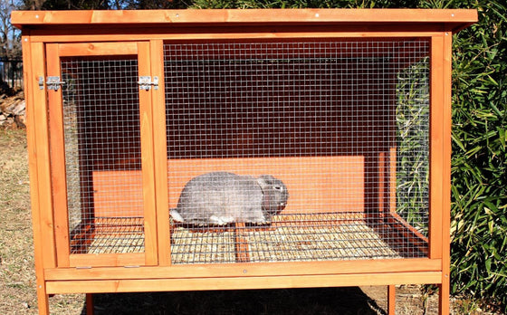 Rabbit Hutch (DDP-1522)