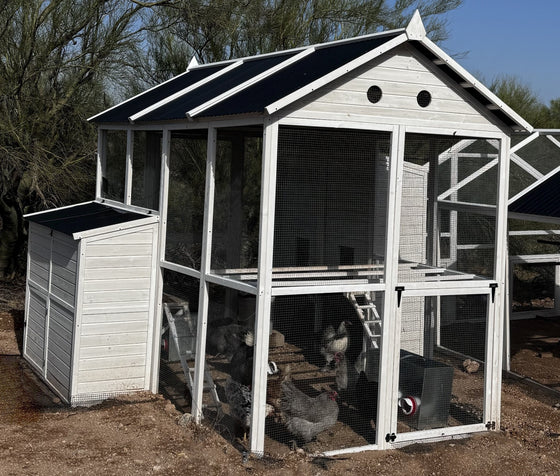 Modern Countryside Open Concept Chicken Coop (DDP-1554PVC)